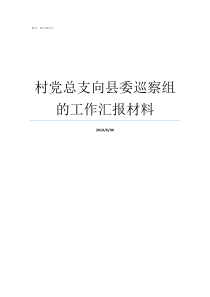 村党总支向县委巡察组的工作汇报材料党支部巡察报告