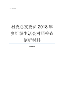 村党总支委员2018年度组织生活会对照检查剖析材料村党支部委员有哪些