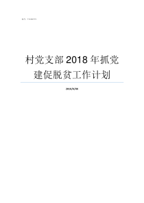 村党支部2018年抓党建促脱贫工作计划2018村党支部工作情况汇报