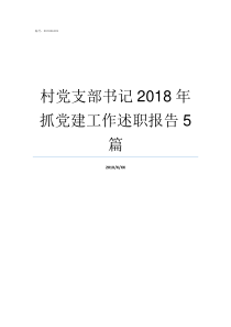 村党支部书记2018年抓党建工作述职报告5篇