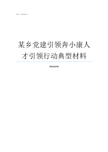 某乡党建引领奔小康人才引领行动典型材料关于党建引领街乡管理