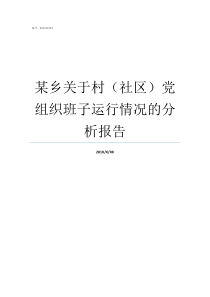 某乡关于村社区党组织班子运行情况的分析报告村社区党支部