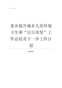 某乡提升城乡人居环境卫生和百日攻坚工作总结及下一步工作计划