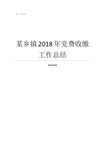 某乡镇2018年党费收缴工作总结2018年全年党费