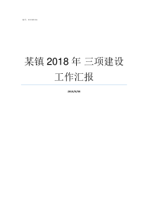 某镇2018年nbsp三项建设工作汇报2019年三项机制