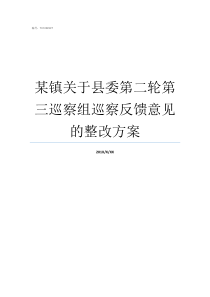 某镇关于县委第二轮第三巡察组巡察反馈意见的整改方案