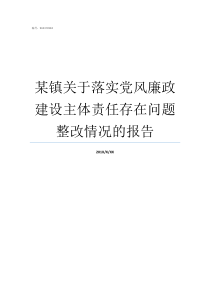 某镇关于落实党风廉政建设主体责任存在问题整改情况的报告