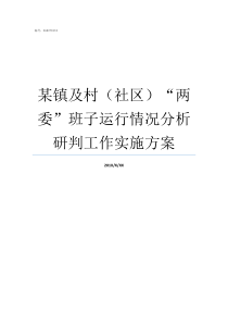 某镇及村社区两委班子运行情况分析研判工作实施方案镇区的村叫社区