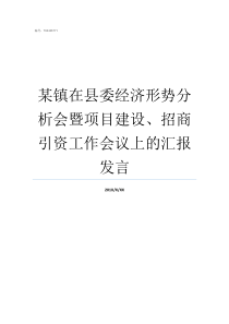 某镇在县委经济形势分析会暨项目建设招商引资工作会议上的汇报发言