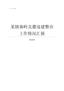 某镇秦岭北麓违建整治工作情况汇报