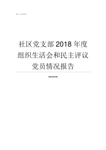 社区党支部2018年度组织生活会和民主评议党员情况报告2018社区党支部年度总结