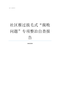 社区雁过拔毛式腐败问题专项整治自查报告雁过拔毛意思