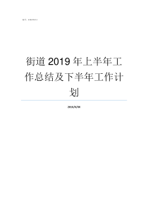 街道2019年上半年工作总结及下半年工作计划2019年上半年全国