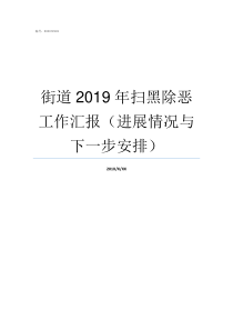 街道2019年扫黑除恶工作汇报进展情况与下一步安排2019年扫黑除恶