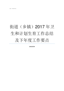 街道乡镇2017年卫生和计划生育工作总结及下年度工作要点2017河南乡镇排名