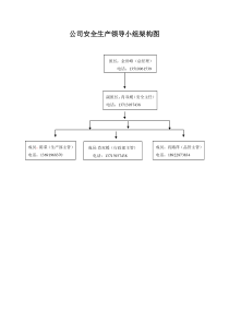 公司安全生产领导小组架构图