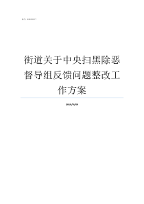 街道关于中央扫黑除恶督导组反馈问题整改工作方案街道积极开展扫黑除恶