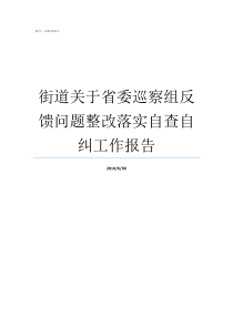 街道关于省委巡察组反馈问题整改落实自查自纠工作报告省委巡视还是巡察