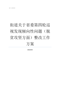 街道关于省委第四轮巡视发现倾向性问题脱贫攻坚方面整改工作方案十届省委第四轮巡视河南