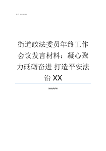 街道政法委员年终工作会议发言材料凝心聚力砥砺奋进nbsp打造平安法治XX