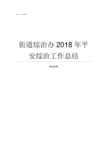 街道综治办2018年平安综治工作总结街道综治办是做什么的