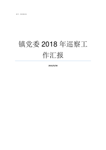 镇党委2018年巡察工作汇报2019年巡察报告