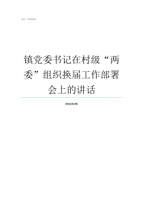 镇党委书记在村级两委组织换届工作部署会上的讲话