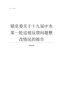 镇党委关于十九届中央第一轮巡视反馈问题整改情况的报告十九届中央委员人数