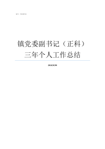 镇党委副书记正科三年个人工作总结