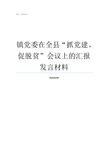 镇党委在全县抓党建促脱贫会议上的汇报发言材料就党建抓党建