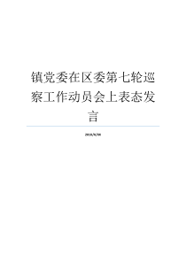 镇党委在区委第七轮巡察工作动员会上表态发言镇委还是叫镇党委巡察