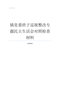 镇党委班子巡视整改专题民主生活会对照检查材料