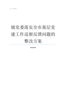 镇党委落实全市基层党建工作巡察反馈问题的整改方案