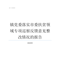 镇党委落实市委扶贫领域专项巡察反馈意见整改情况的报告党委常委