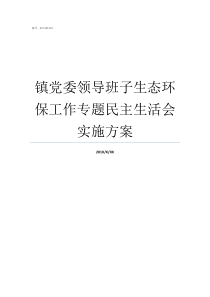 镇党委领导班子生态环保工作专题民主生活会实施方案党委班子成员