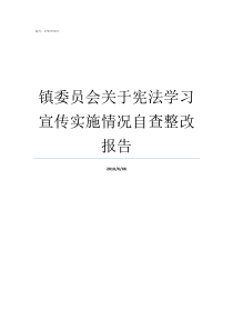 镇委员会关于宪法学习宣传实施情况自查整改报告