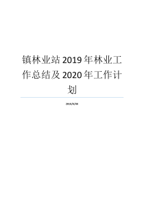 镇林业站2019年林业工作总结及2020年工作计划林业站工作小结