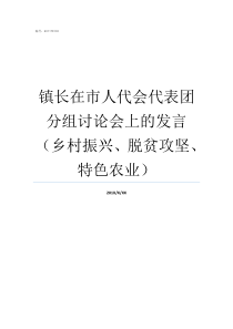 镇长在市人代会代表团分组讨论会上的发言乡村振兴脱贫攻坚特色农业人代会代表团会议议程