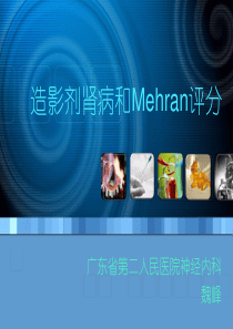 Mehran评分学习