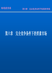 第六章 完全竞争条件下的要素市场