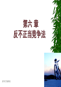 第六章反不正当竞争法