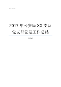 2017年公安局XX支队党支部党建工作总结69XX2017