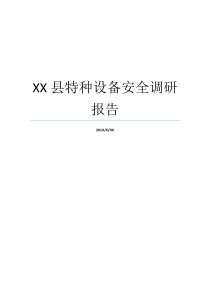 XX县特种设备安全调研报告XX不X成语