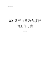 XX县严打整治专项行动工作方案96严打纪实