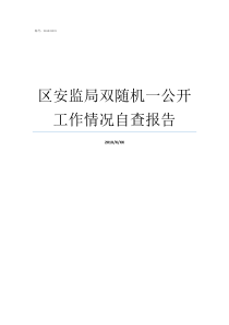 区安监局双随机一公开工作情况自查报告