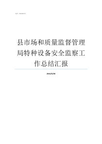 县市场和质量监督管理局特种设备安全监察工作总结汇报