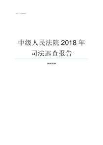 中级人民法院2018年司法巡查报告