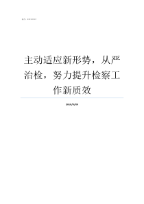 主动适应新形势从严治检努力提升检察工作新质效如何适应新形势