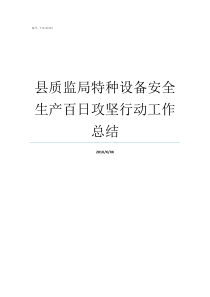 县质监局特种设备安全生产百日攻坚行动工作总结特种设备监督局