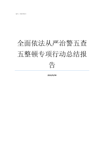 全面依法从严治警五查五整顿专项行动总结报告